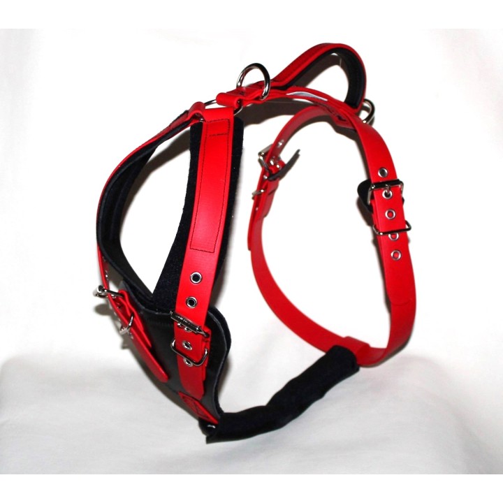 pettorina in biothane per cani