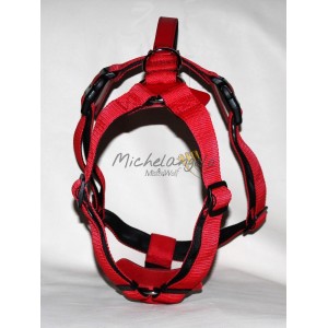 Pettorina Daniel per cani...