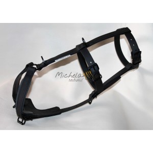 Pettorina Amber doppia H...