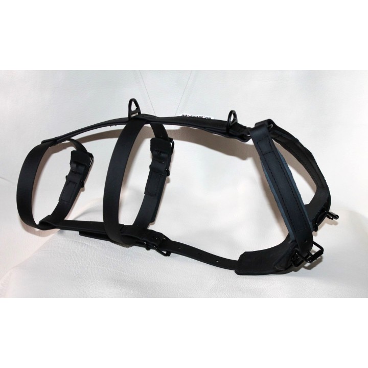 double H harness for dog