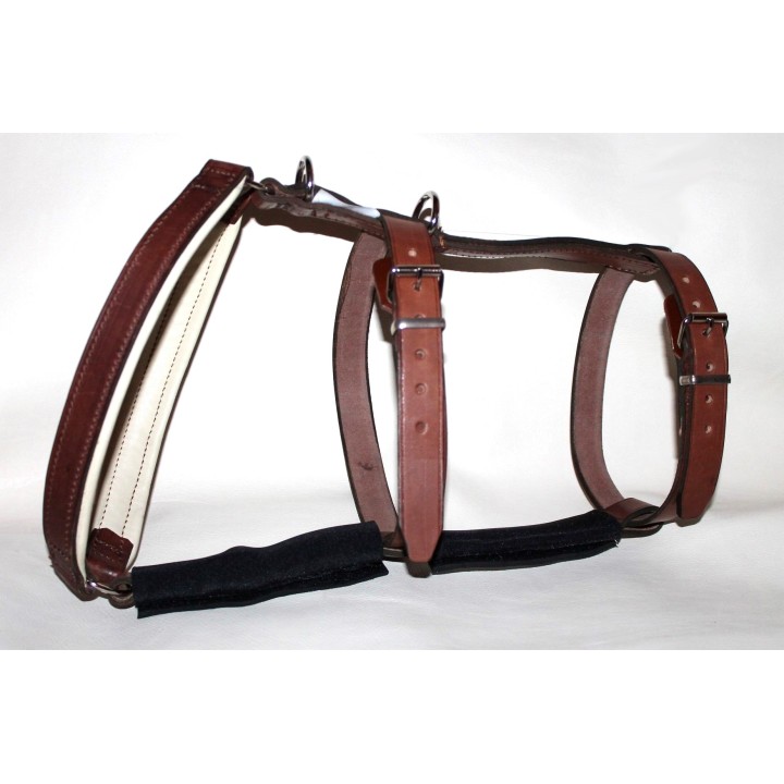 H harness for dogs