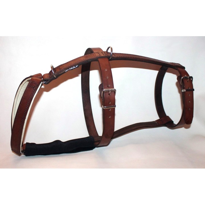 H harness for dogs