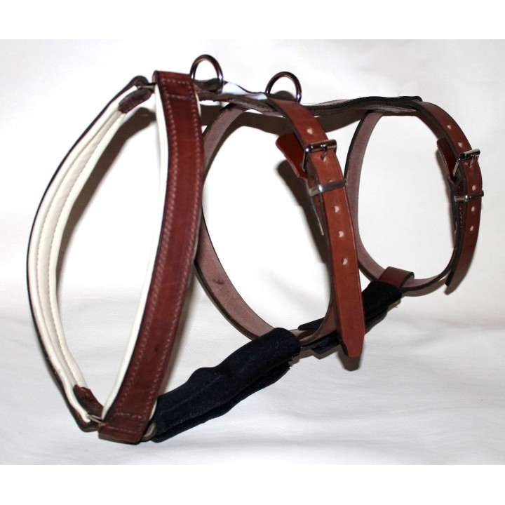 H harness for dogs