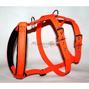 Pettorina Edvige doppia H