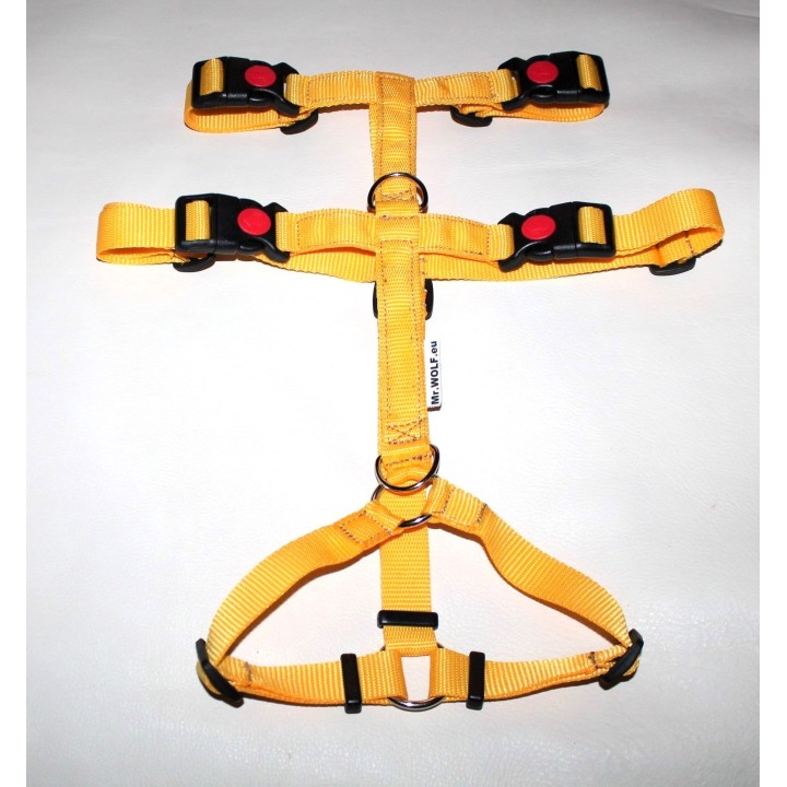 H harness for greyhound