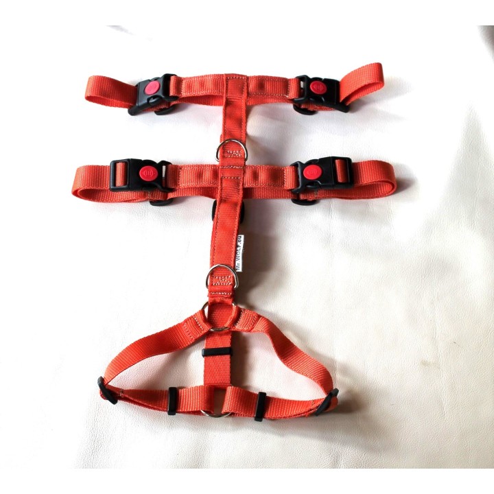 H harness for dog