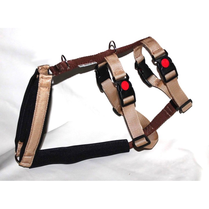 pettorina doppia  H per whippet