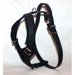 biothane harness for training
