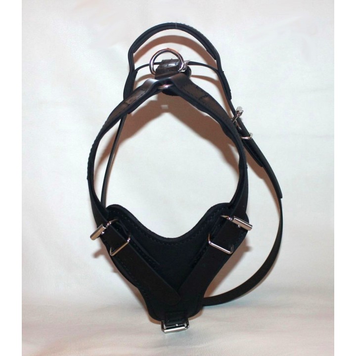 biothane harness for training