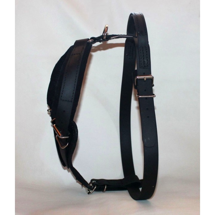 biothane harness for training