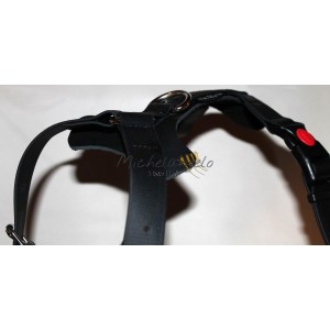 Pettorina Dafne in Biothane...