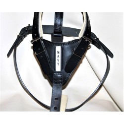 leather harness for training