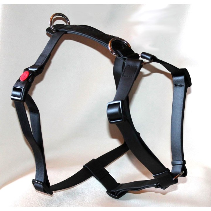 biothane harness for dog