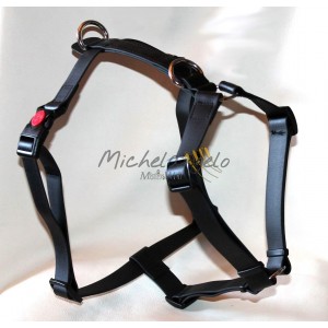 Pettorina Mistral in...