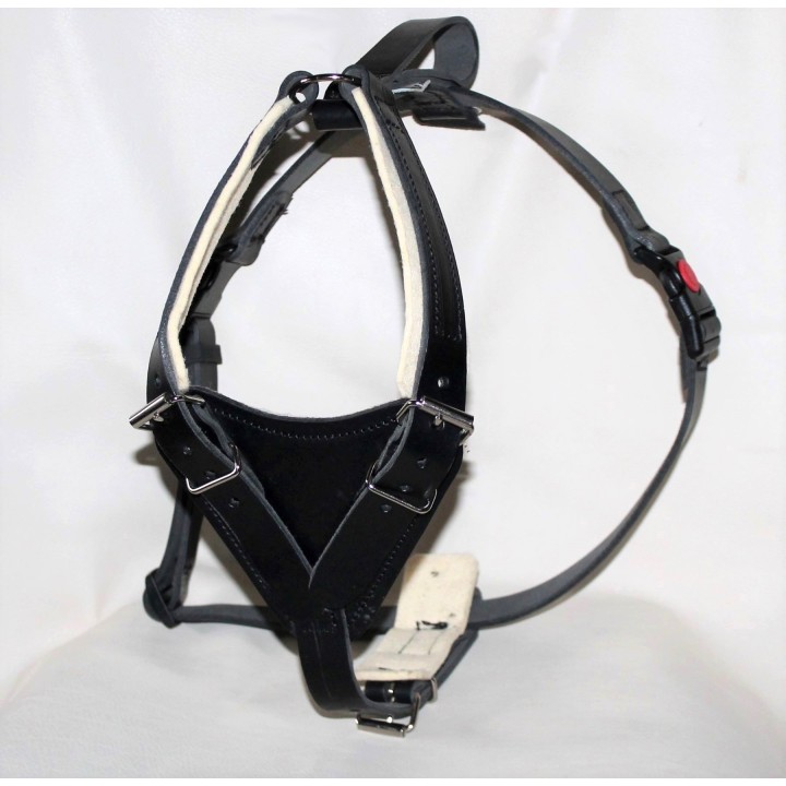 leather Harness for training