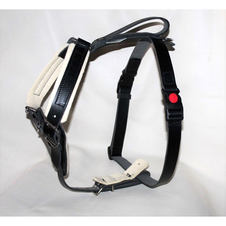 leather Harness for training