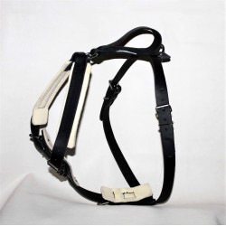 leather Harness for training