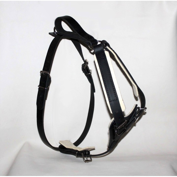 leather Harness for training