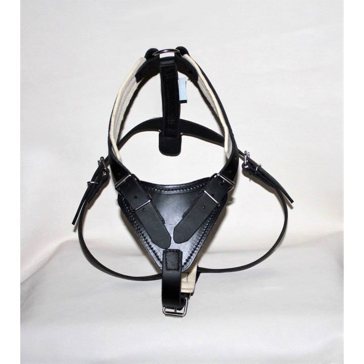 leather Harness for training