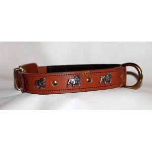 English Bulldog  collar