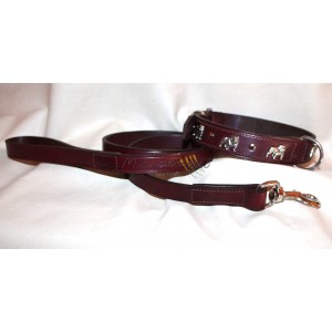 English Bulldog  collar