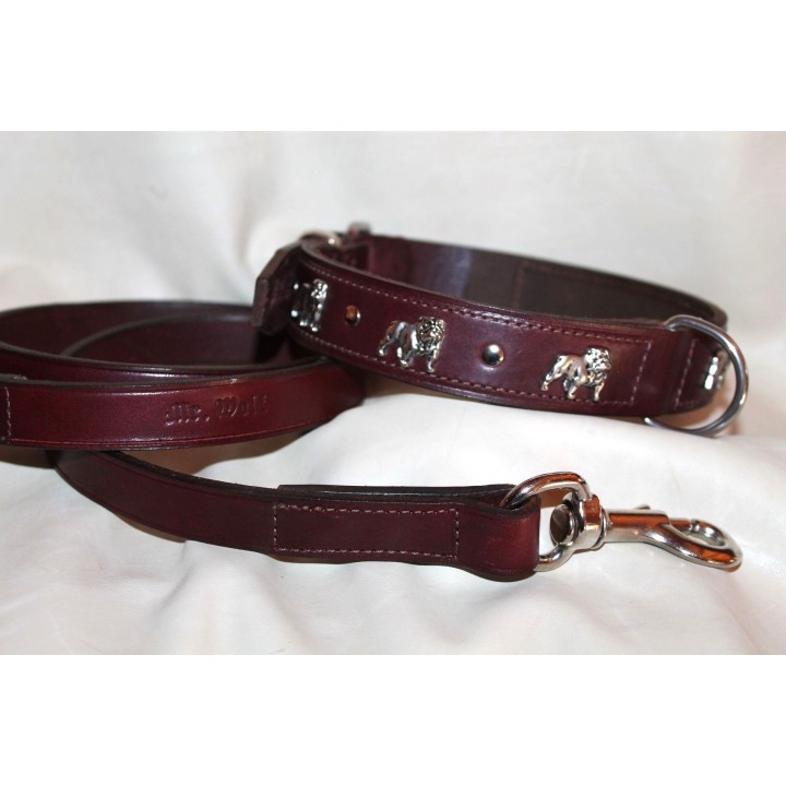 leather collar for english bulldog