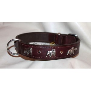 English Bulldog  collar