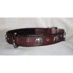English Bulldog  collar