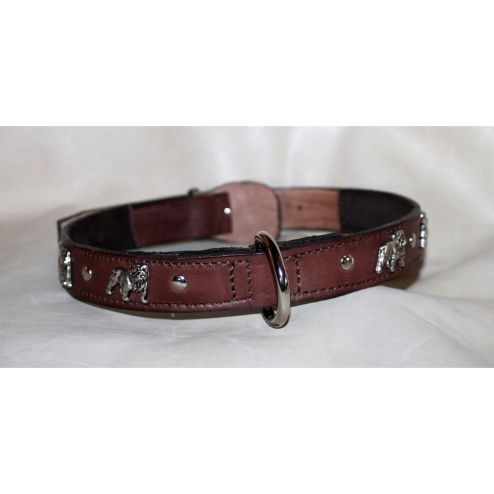 leather collar for english bulldog