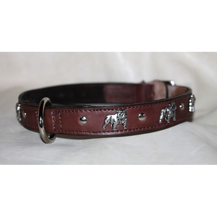 leather collar for english bulldog