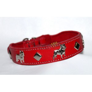 Collare per Bulldog Francese