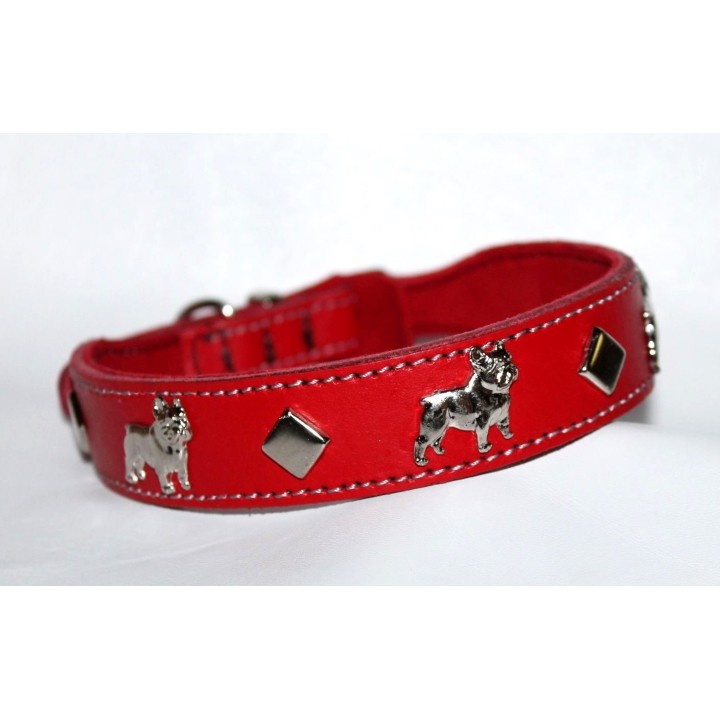 leather collar for Bouledogue Francais
