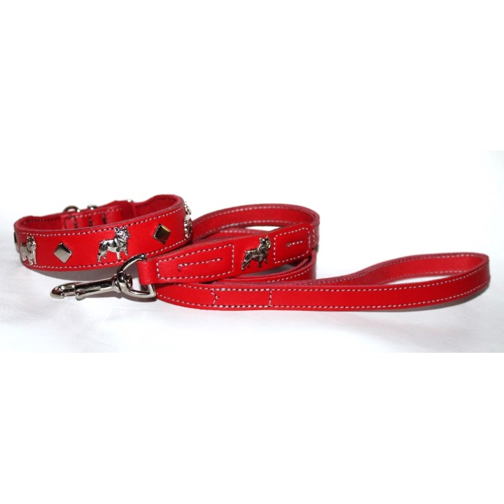 leather collar for Bouledogue Francais