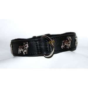 Collare per Bulldog Francese