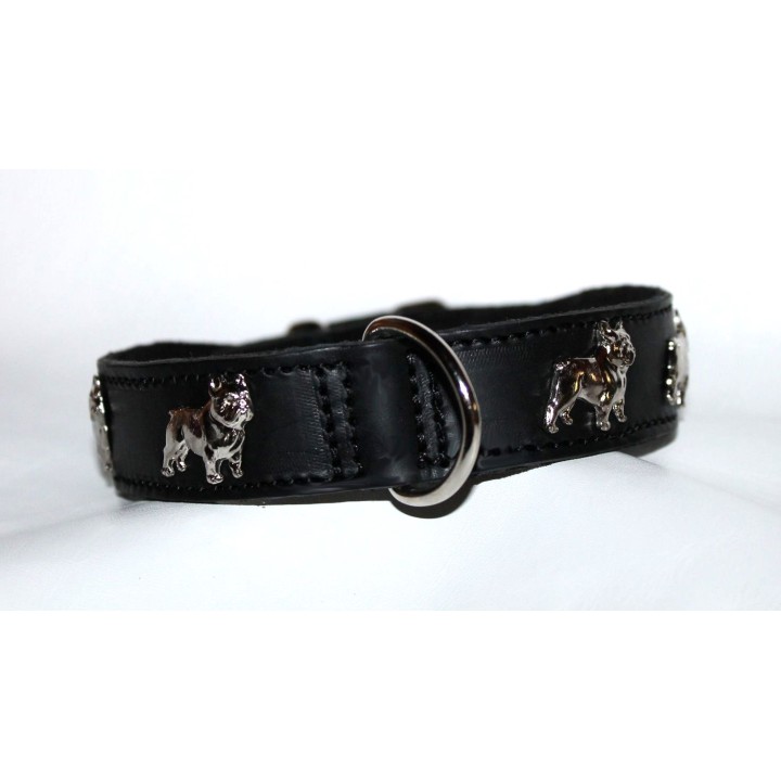 leather collar for Bouledogue Francais