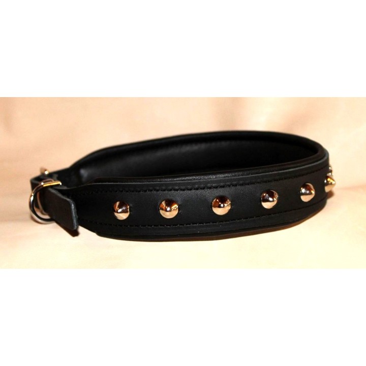 collare per bulldog francese