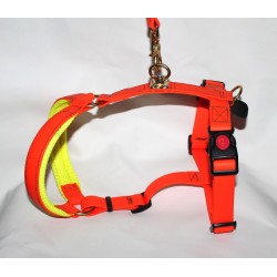harness in biothane for tracking dogs