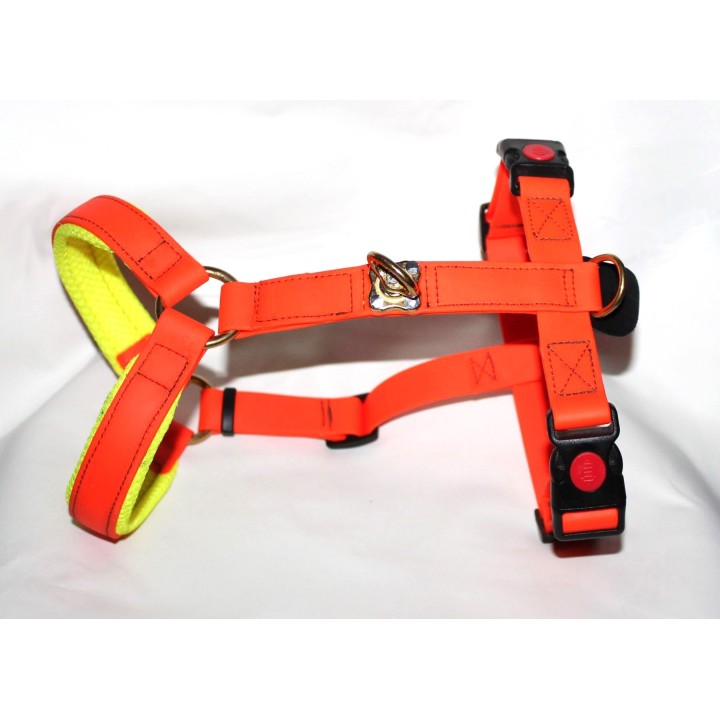 harness in biothane for tracking dogs