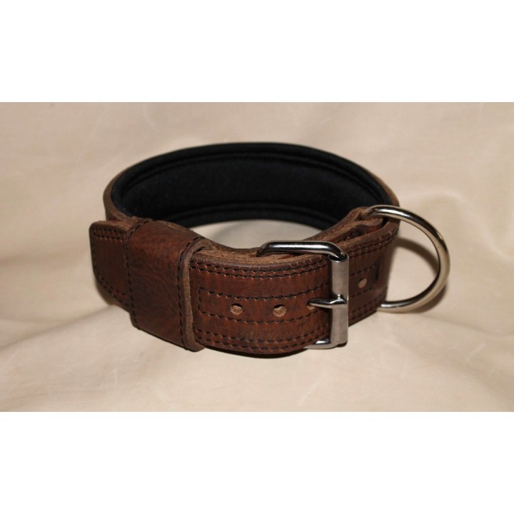 collar for molossian dogs
