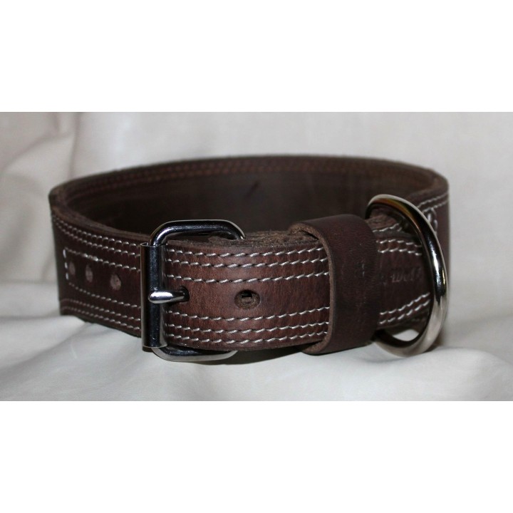 molossian collar