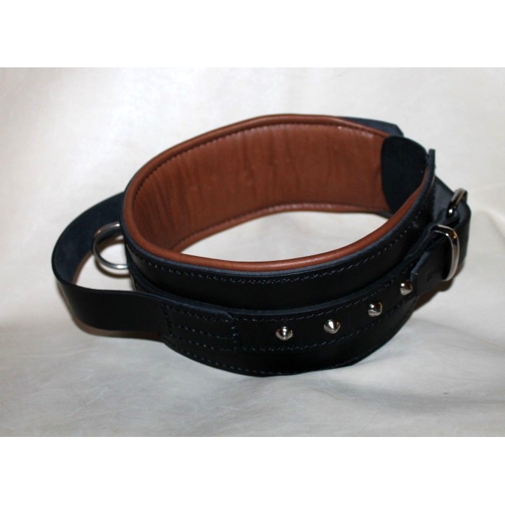 collar for molossian dogs