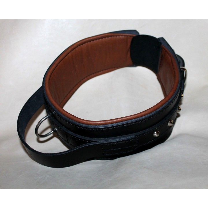 collar for molossian dogs