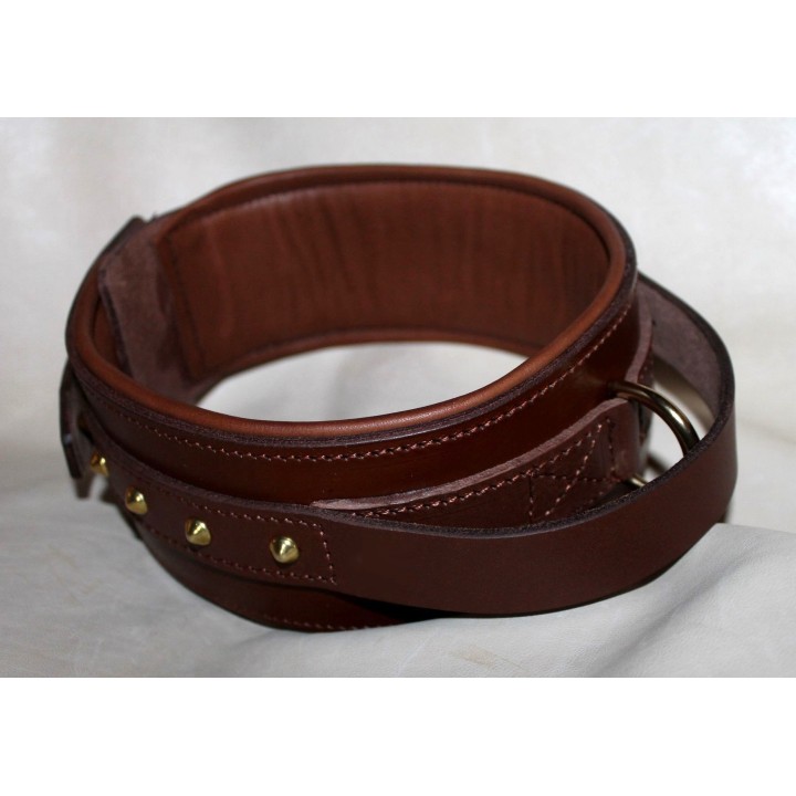 collar for molossian dogs