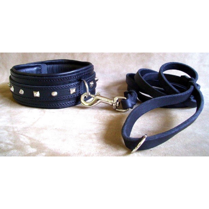 molossian collar