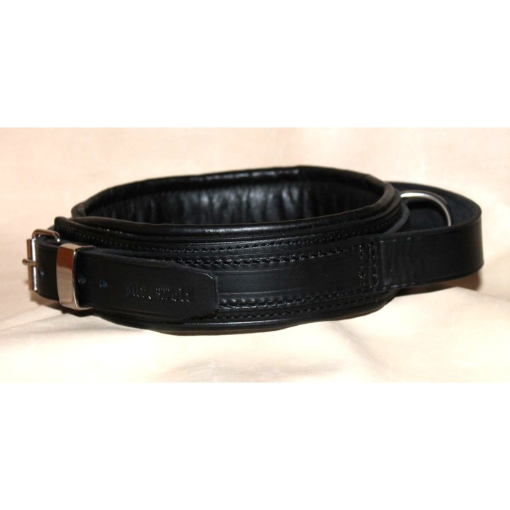 collar for molossian dogs