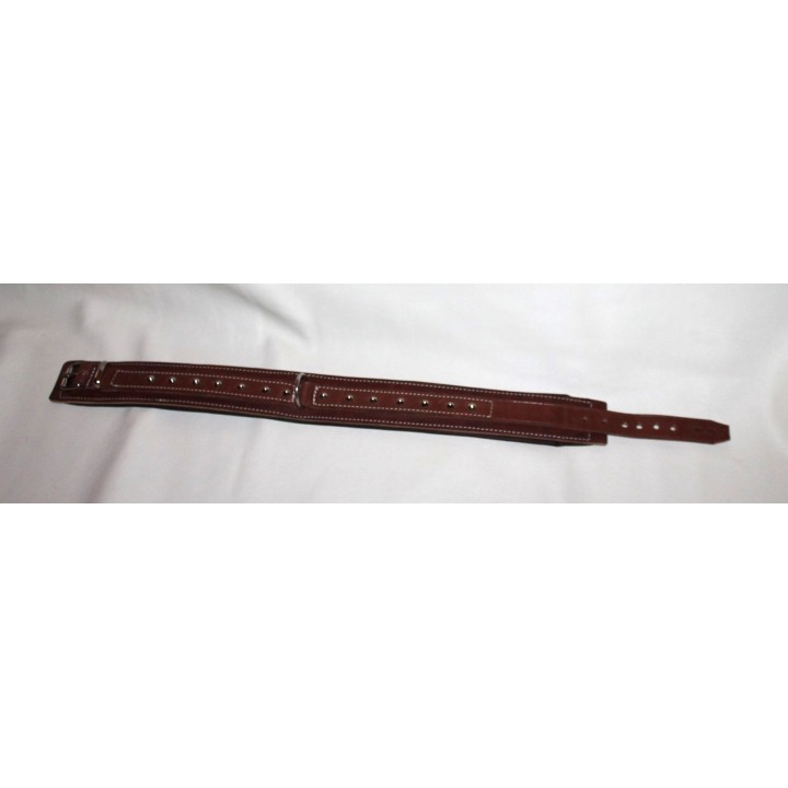 collar for molossian dogs