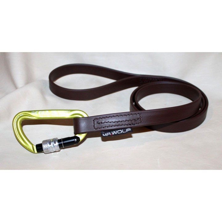 biothane leash for molossian dogs