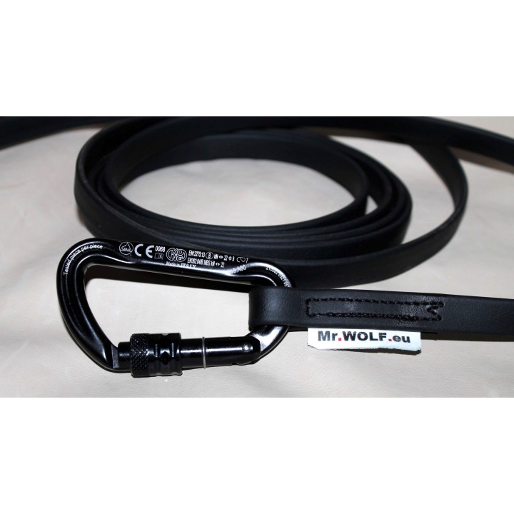 biothane leash for molossian dogs