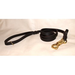 leash for molossian dogs