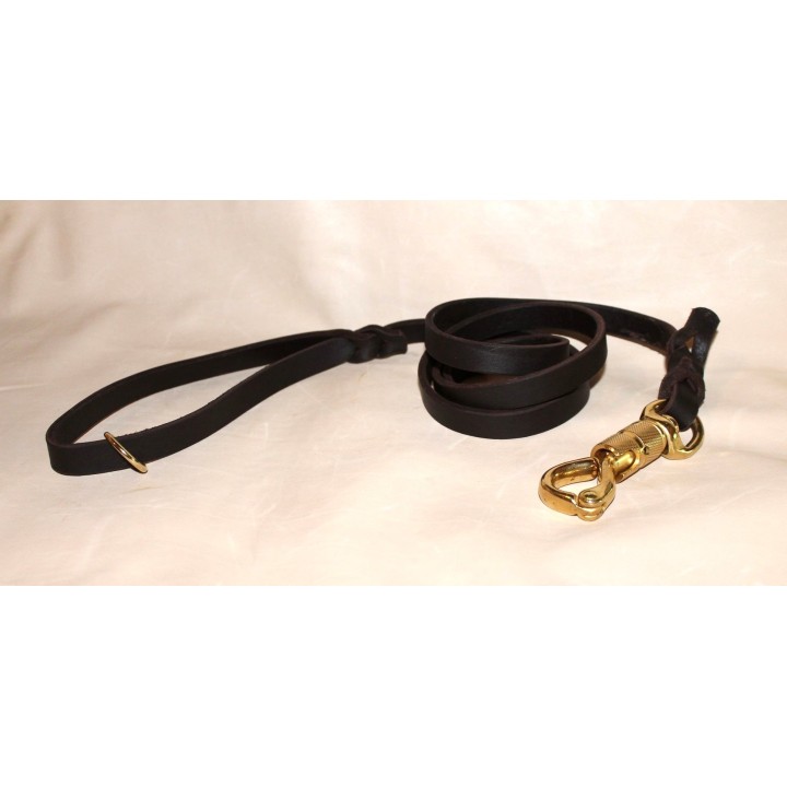 leash for molossian dogs